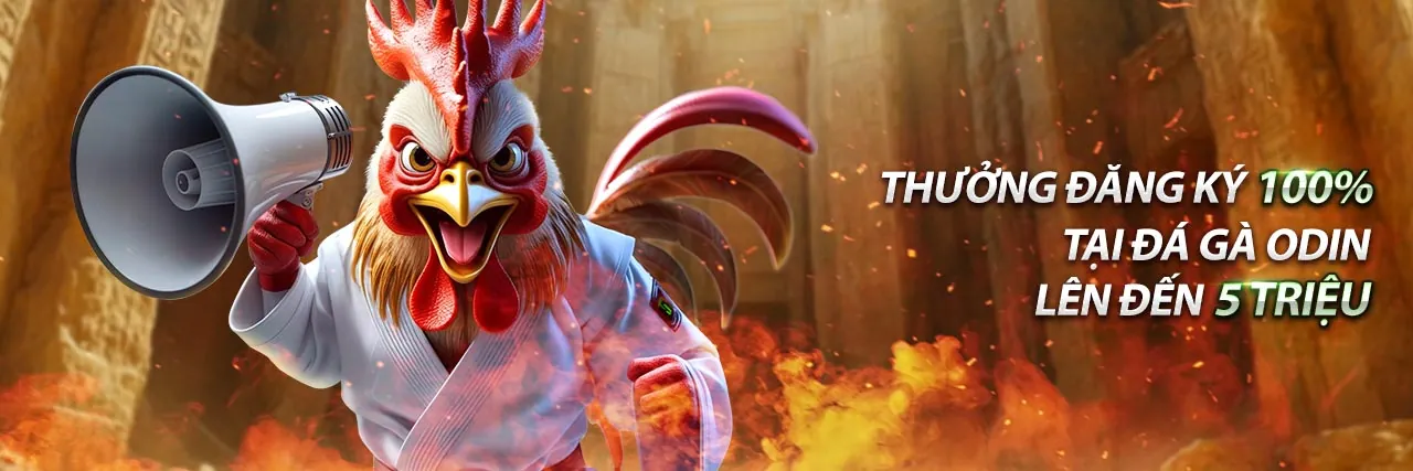 Đá gà trực tiếp tại AE888